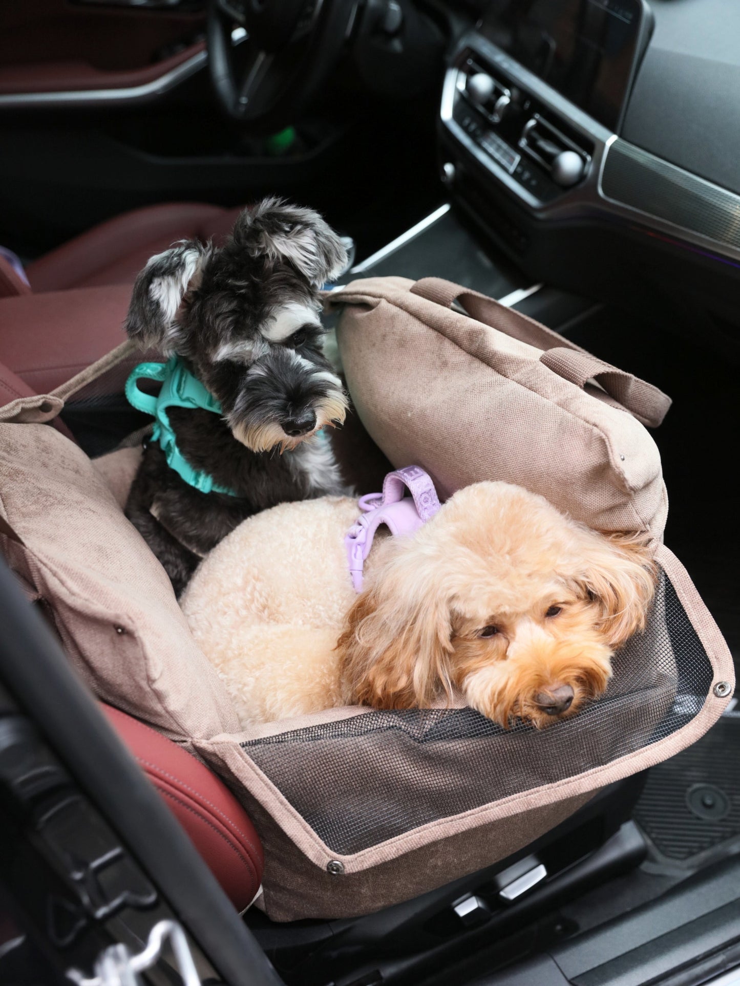 Pet Travel Accessories Adjustable Blue Premium Pet Supply - gallery image 5