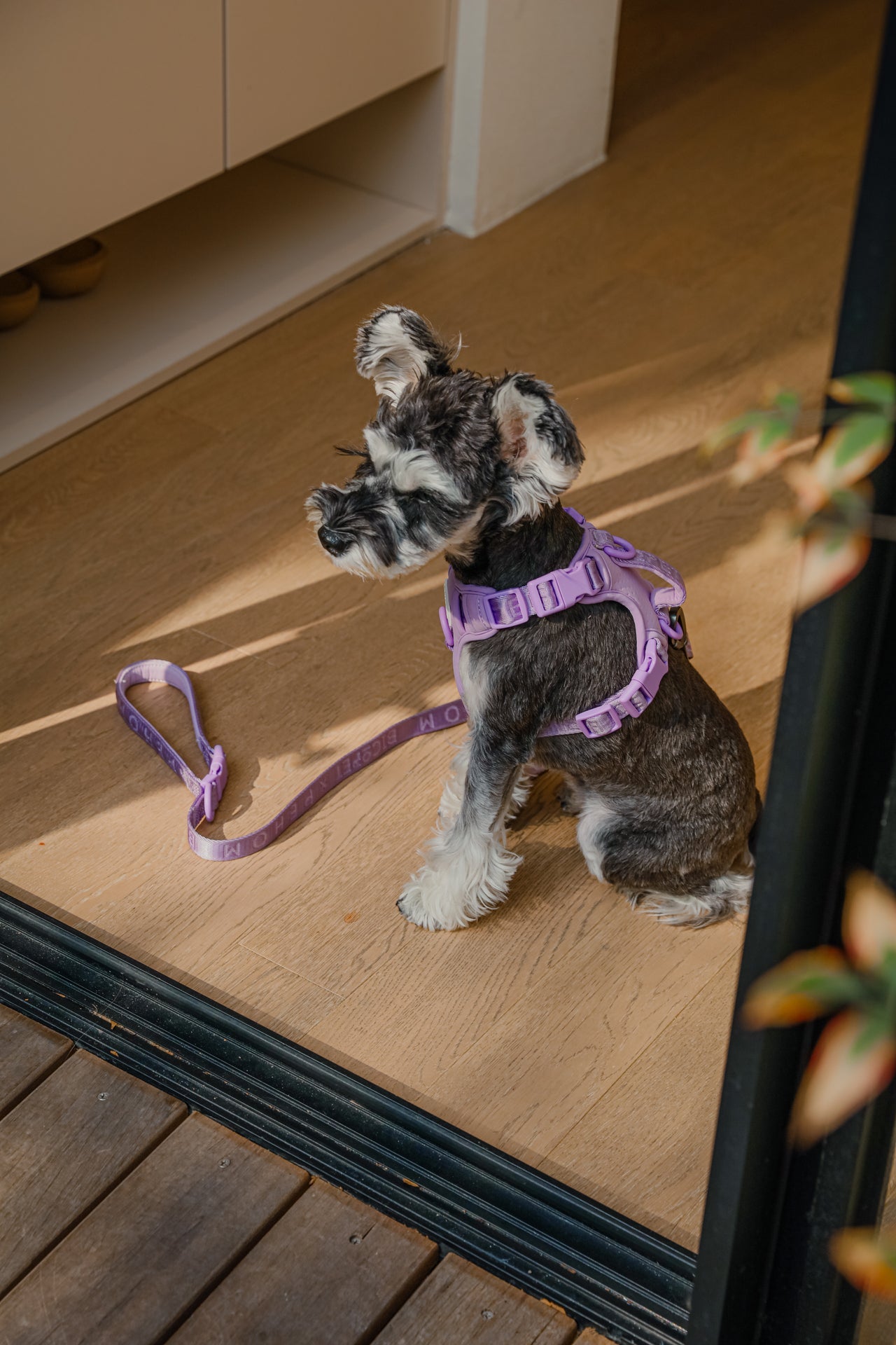 Dog Harness No Pull Active Fit Adjustable MINT PURPLE Walkin - gallery image 7