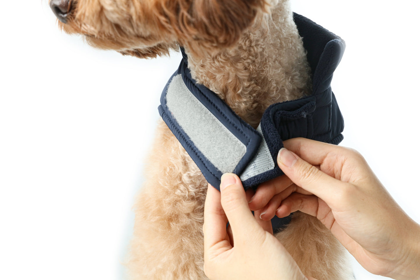 Reversible Dog Vest Jacket Blue Dog Apparel Premium Pet - gallery image 11