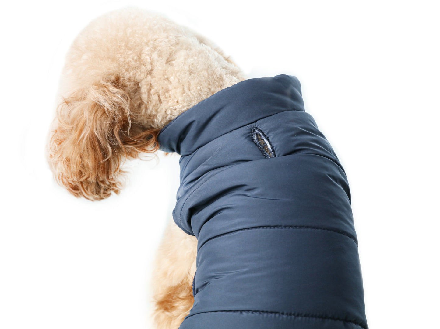 Reversible Dog Vest Jacket Red Dog Apparel Premium Pet - gallery image 11