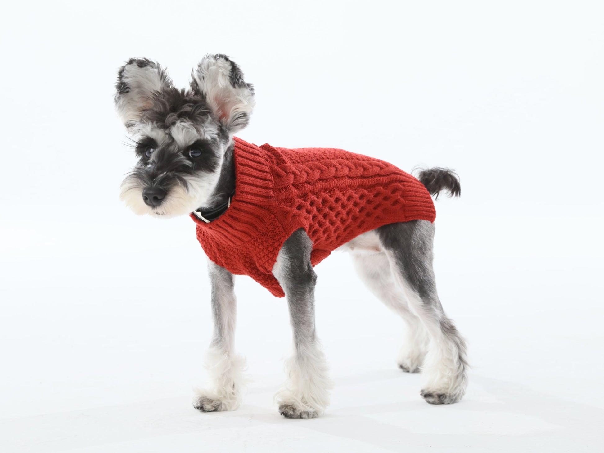 Pet Sweater Vest Red Dog Sweaters Premium Pet Supply Premium - detail view