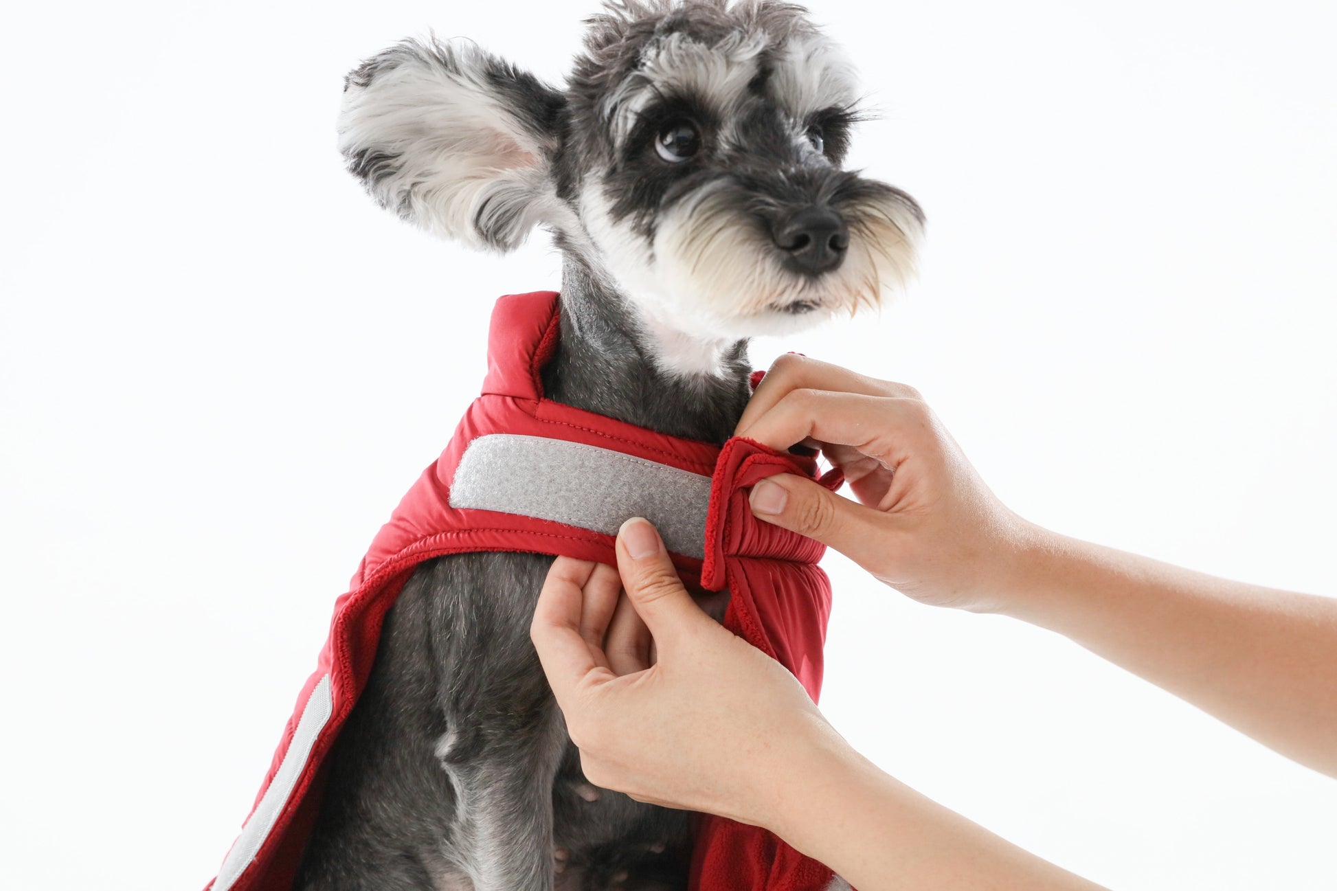 Reversible Dog Vest Jacket Red Dog Apparel Premium Pet - gallery image 5