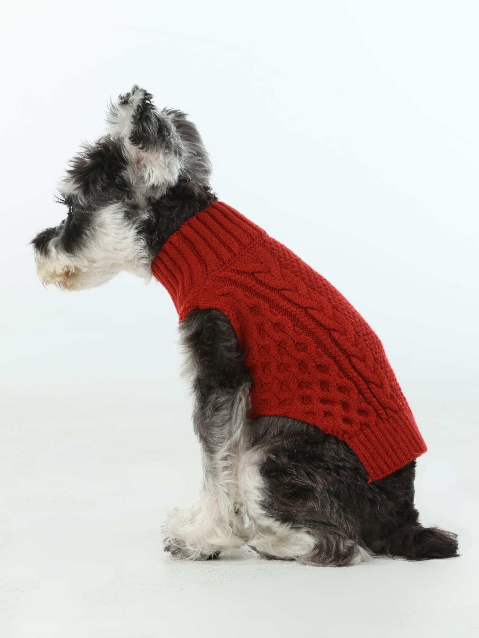 Pet Sweater Vest Red Dog Sweaters Premium Pet Supply Premium - lifestyle view
