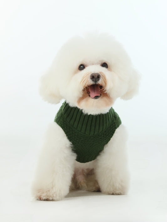 Pet Sweater Vest Green Dog Sweaters Premium Pet Supply - main product image