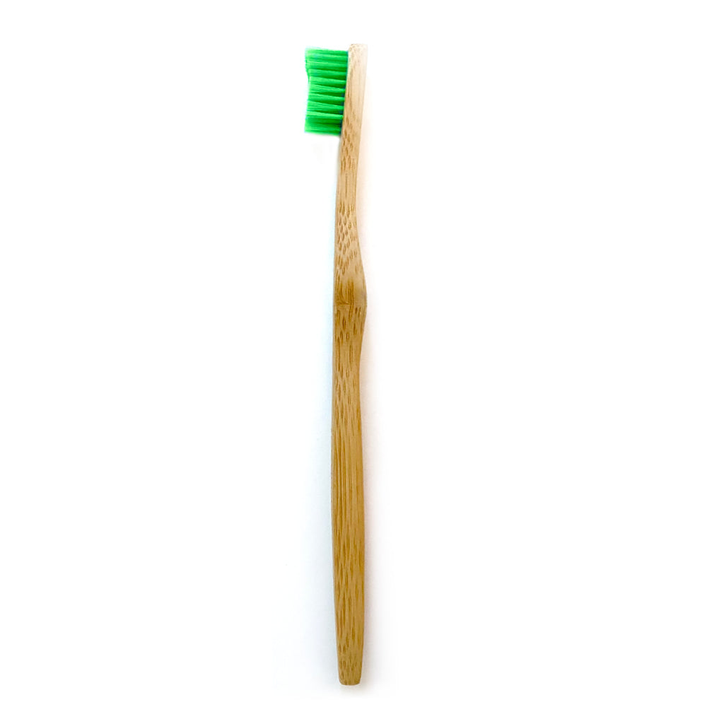 Bamboo Toothbrush for Large Dogs - Organic Dental Solutions - lifestyle view | Dental at Purrfect Pet Kingdom