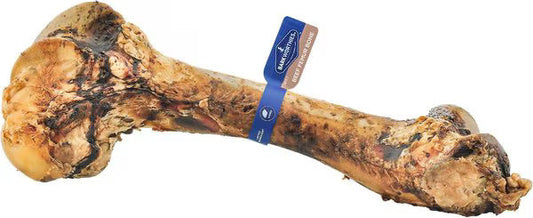 Barkworthies Beef Femur Bone Dog Treat - Dog Treats at Purrfect Pet Kingdom
