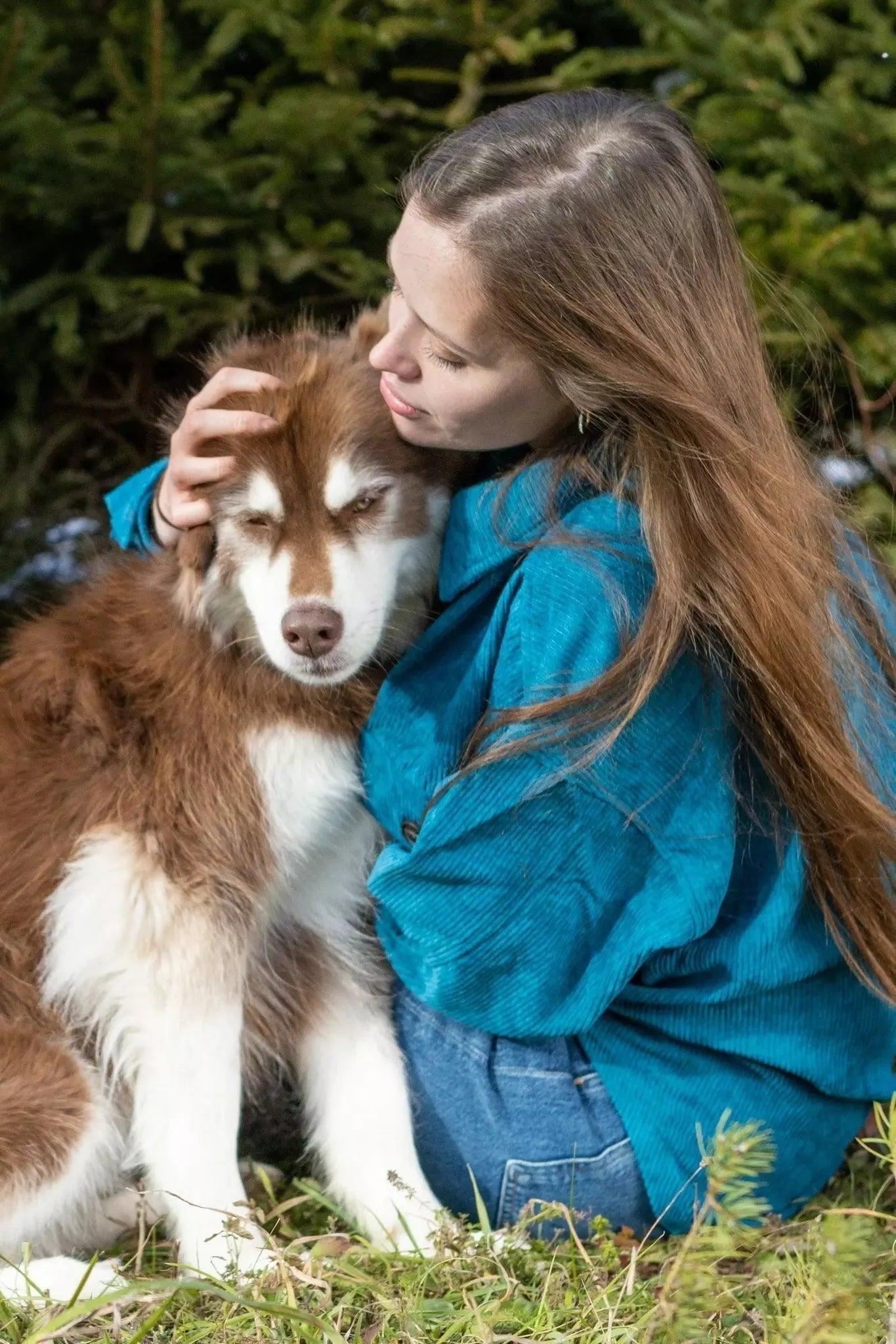 Dog Apparel Outdoor Everyday Wear Adjustable Blue Comfort - lifestyle view