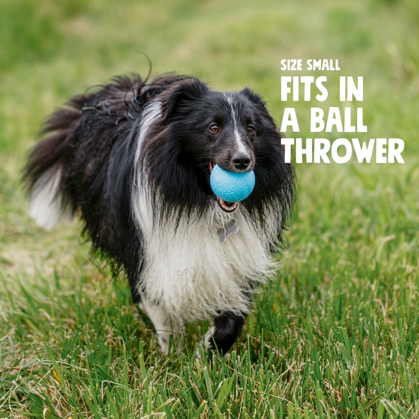 Boundr Interactive Dog Toy Durable Play Premium - lifestyle view