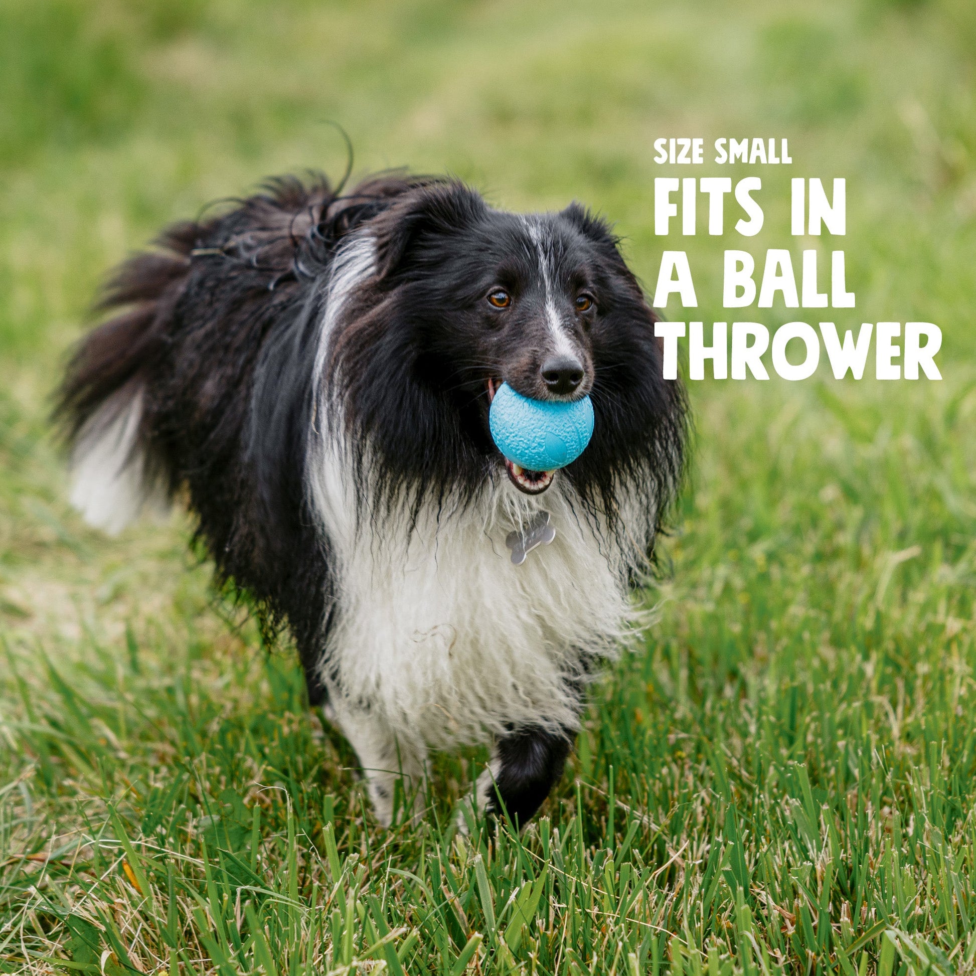 Boundr Interactive Dog Toy Durable Play Premium - lifestyle view