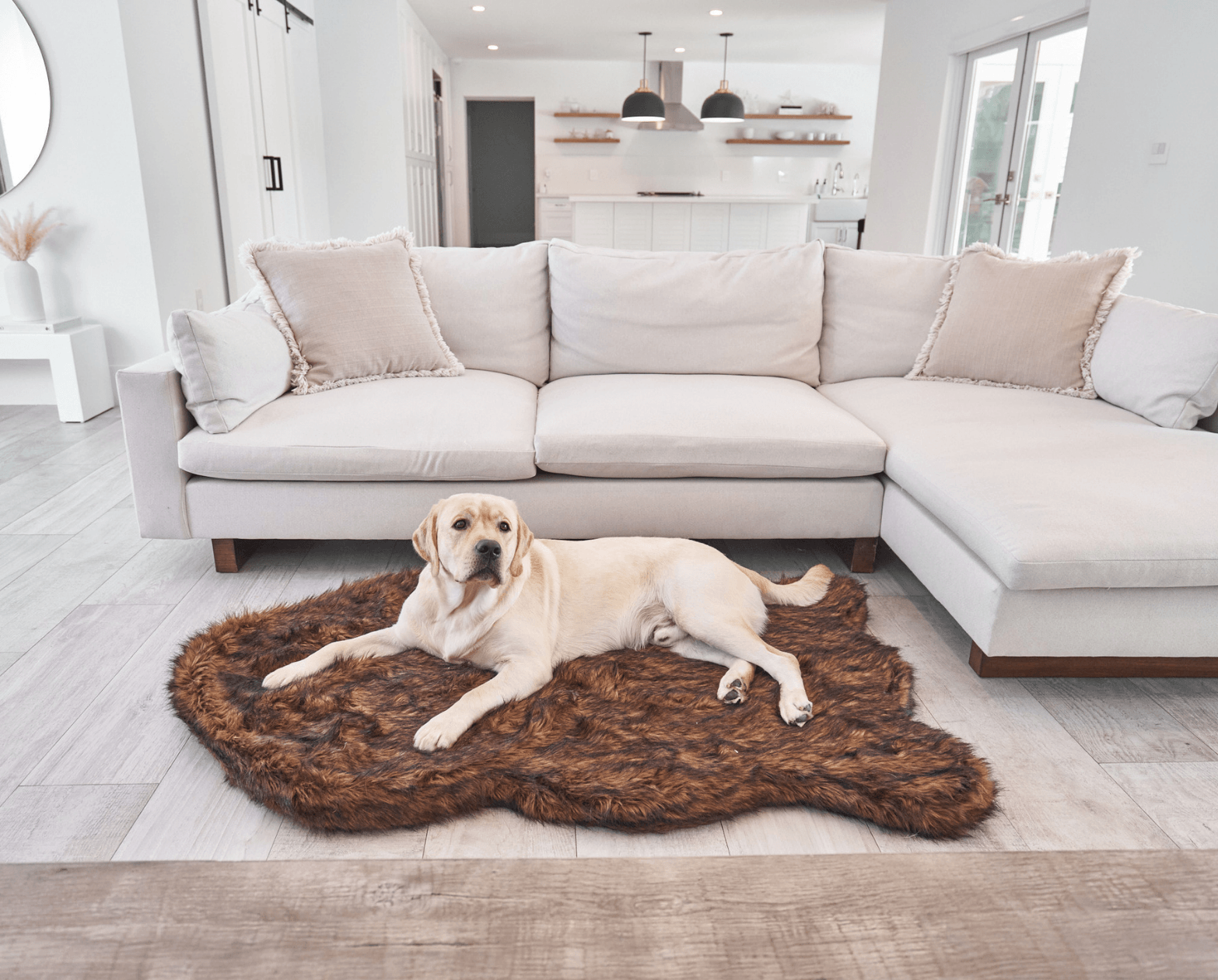 PupRug by Paw.com� Faux Fur Orthopedic Dog Bed - Curve Brown - main product image