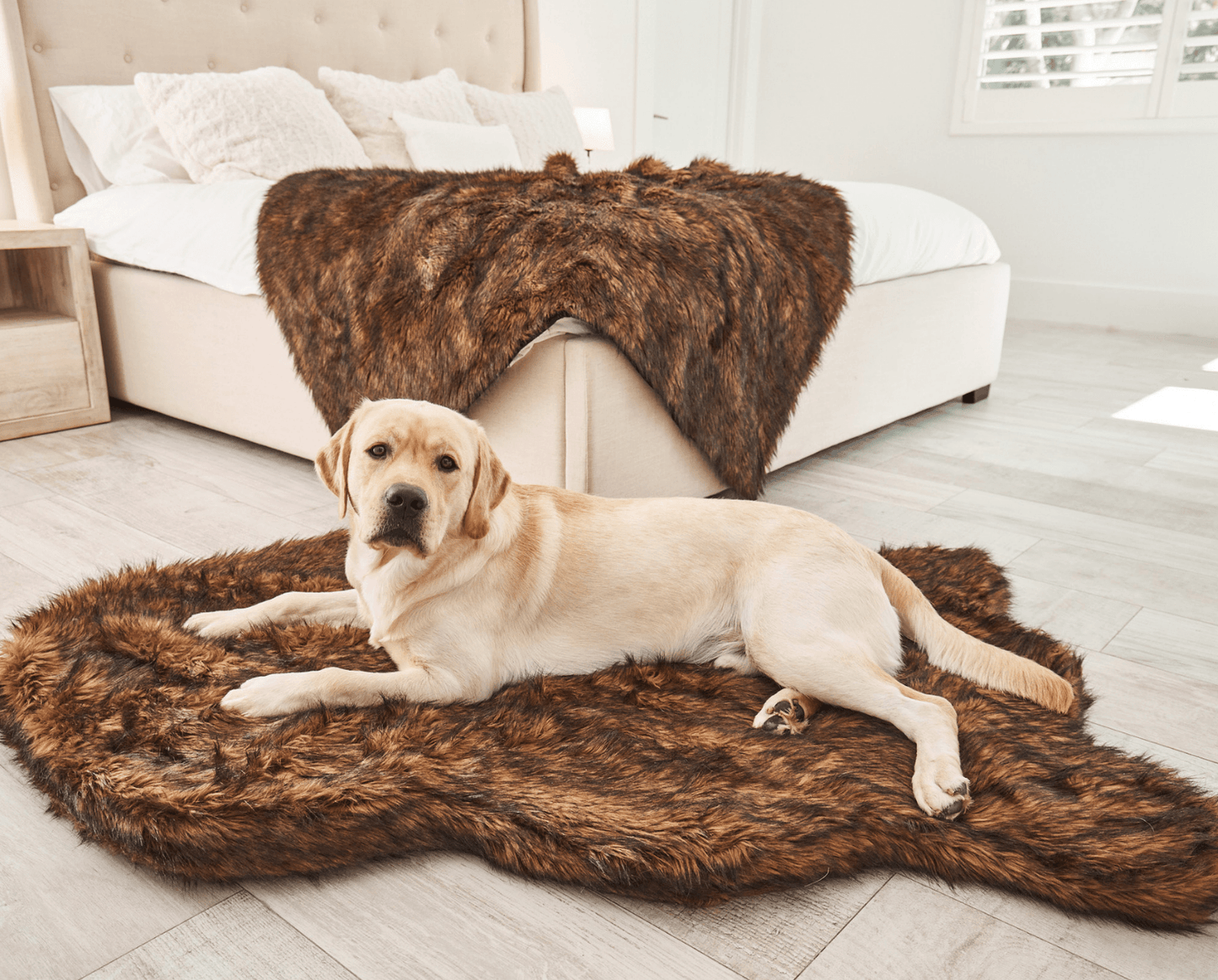 PupRug by Paw.com� Faux Fur Orthopedic Dog Bed - Curve Brown - lifestyle view