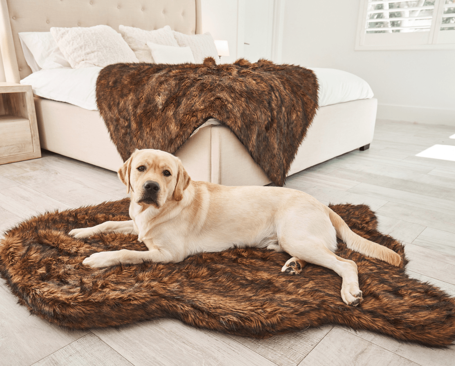PupRug by Paw.com� Faux Fur Orthopedic Dog Bed - Curve Brown - lifestyle view