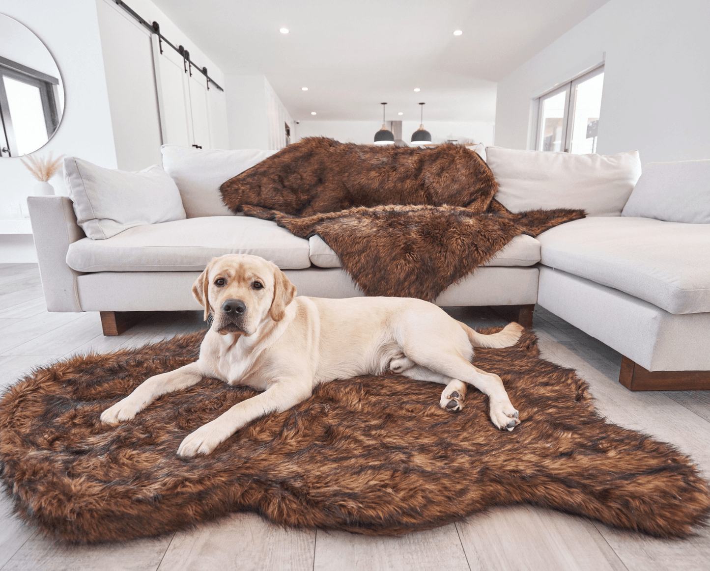 PupRug by Paw.com� Faux Fur Orthopedic Dog Bed - Curve Brown - gallery image 7