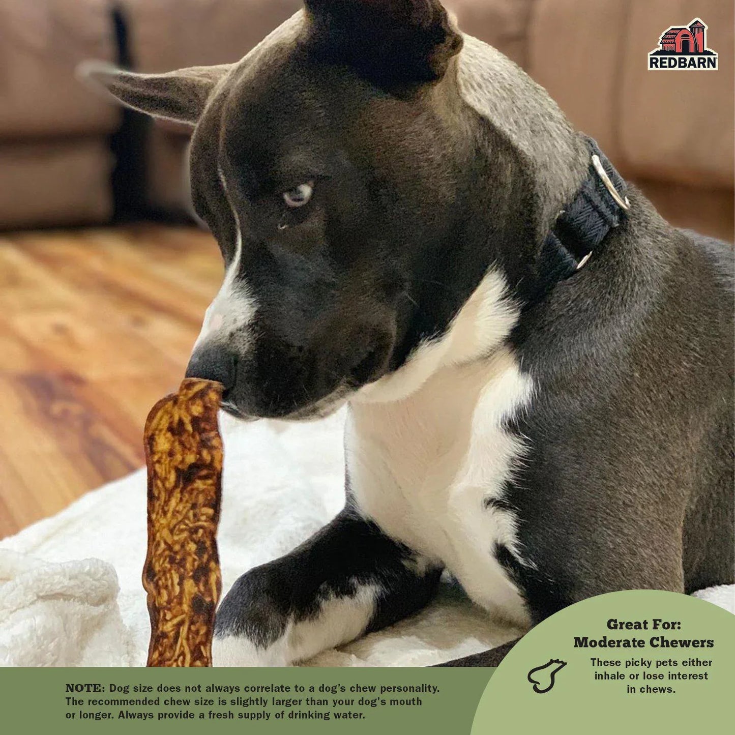 Dog Treats Premium Variety Chews 9oz Training Rewards Premiu - close up view