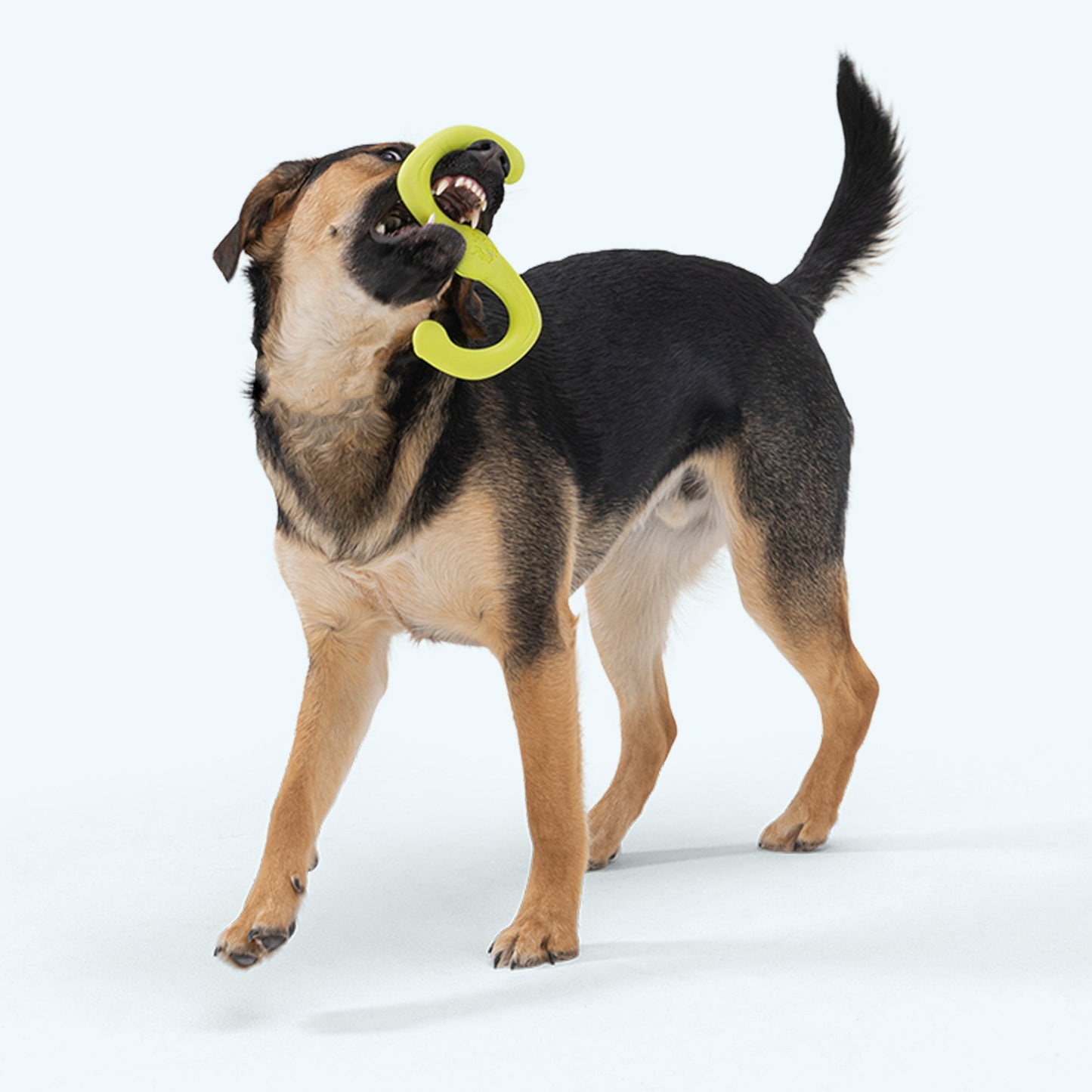 Bumi Ruby Interactive Dog Toy Durable Play Premium - detail view