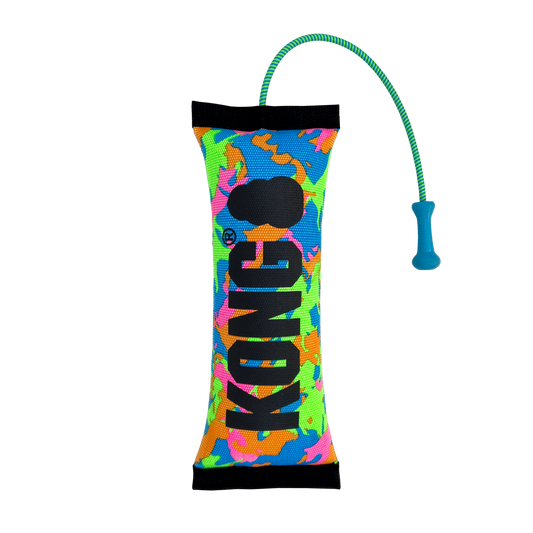 KONG Bunji High Viz Bumper Assorted Medium Fetch Dog Toy - main product image