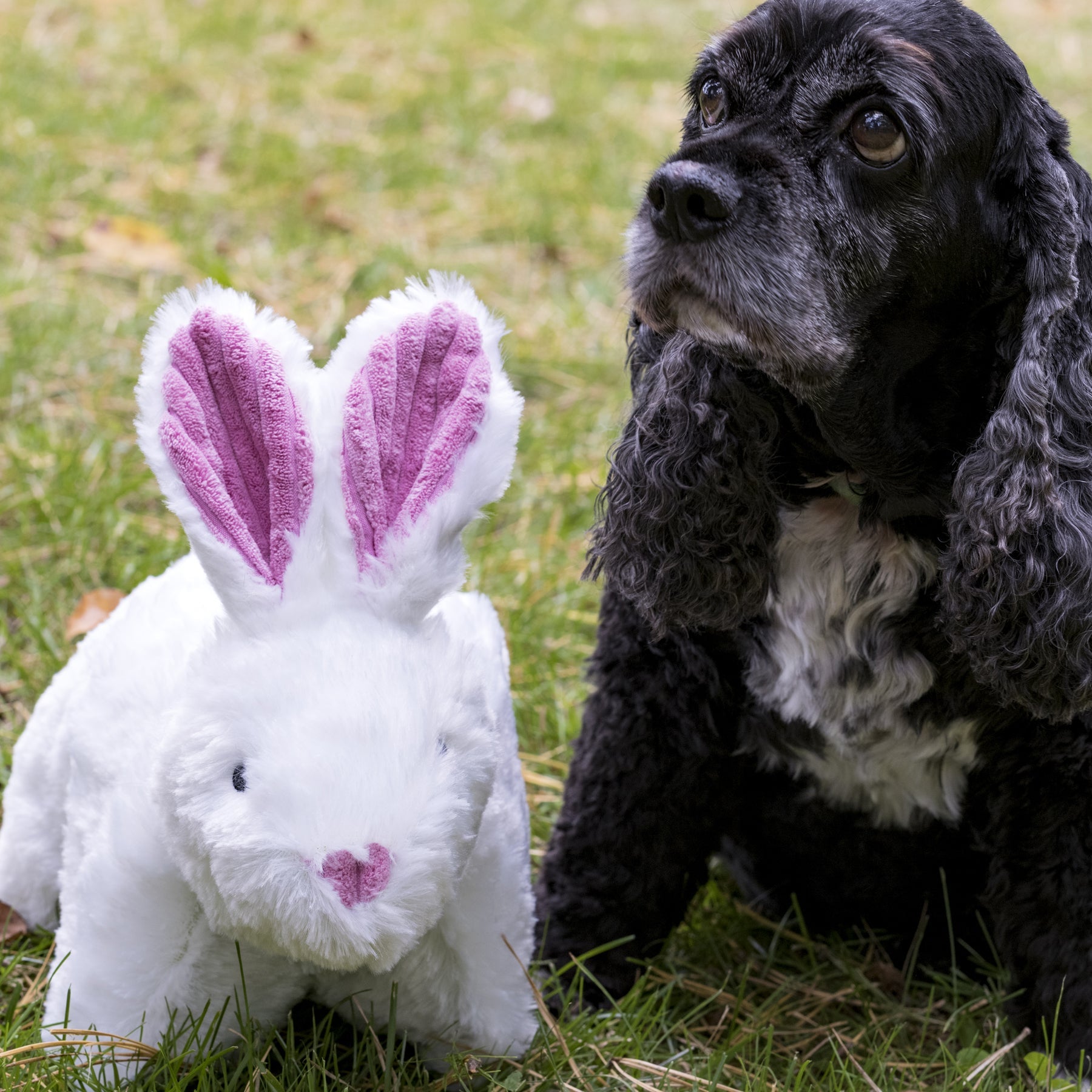 Dog Toy Squooshie Bunny Plush Toy for Daily Use for Comfort main product image for dogs and cats