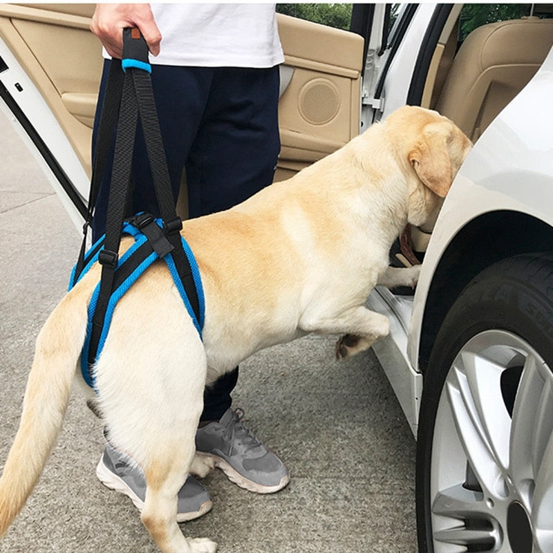 New Adjustable Dog Lift Harness For Back Legs Pet Support - close up view