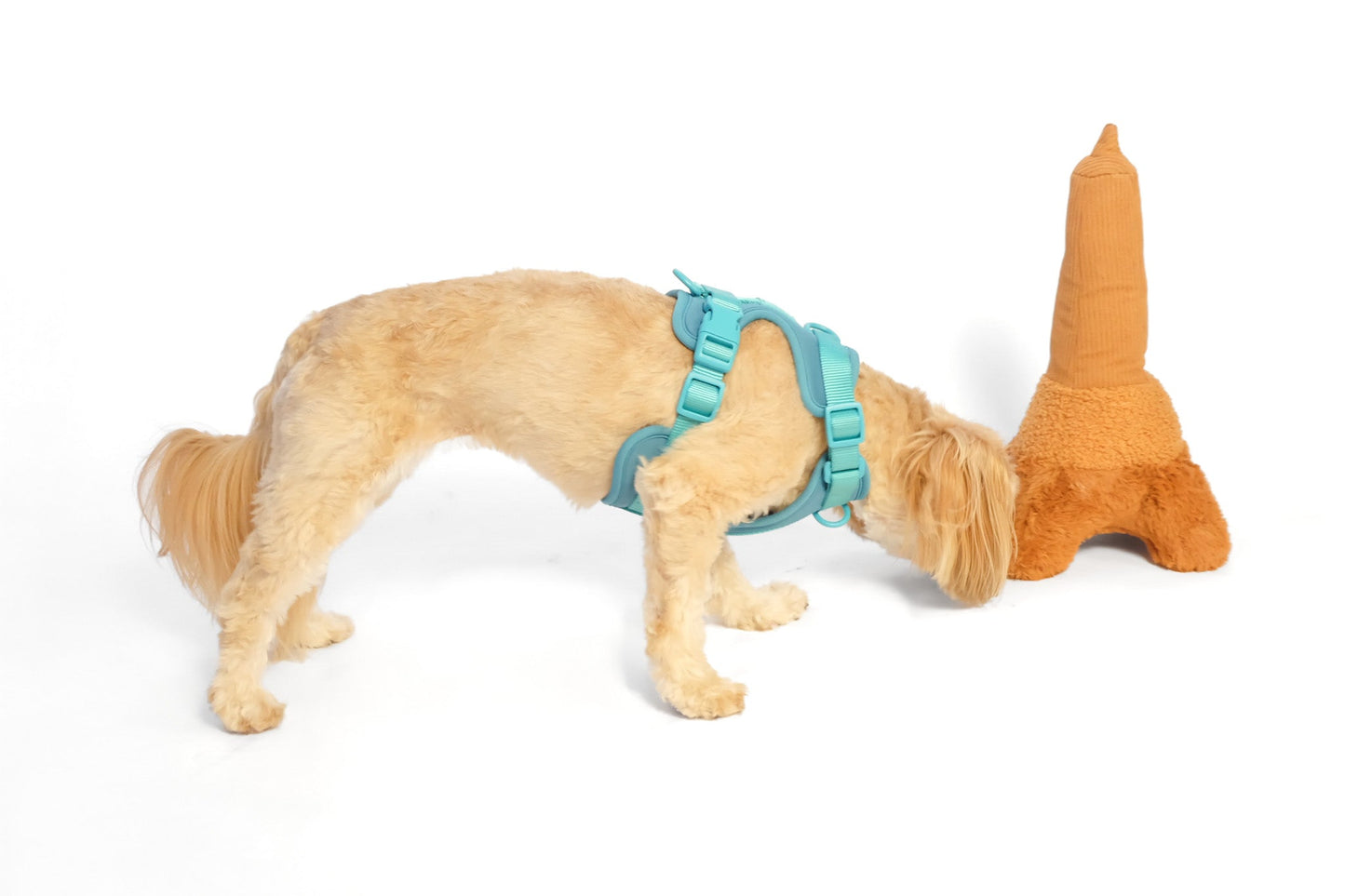 La Tour Eiffel Nose Work Dog Toy / Enrichment Toy - detail view