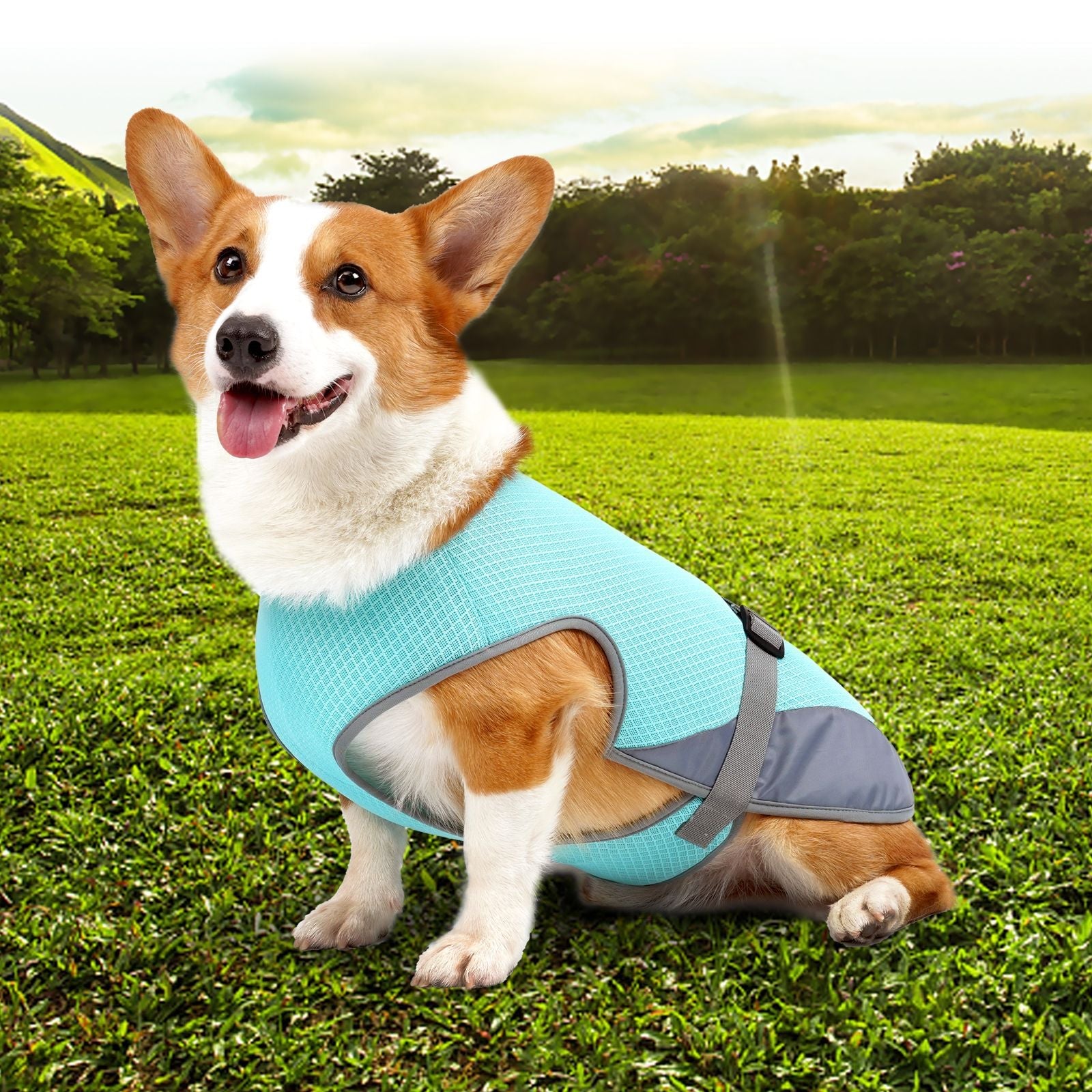 Pet Dog Clothing Cooling Summer Vest For Hot Heat Dog Pet - lifestyle view