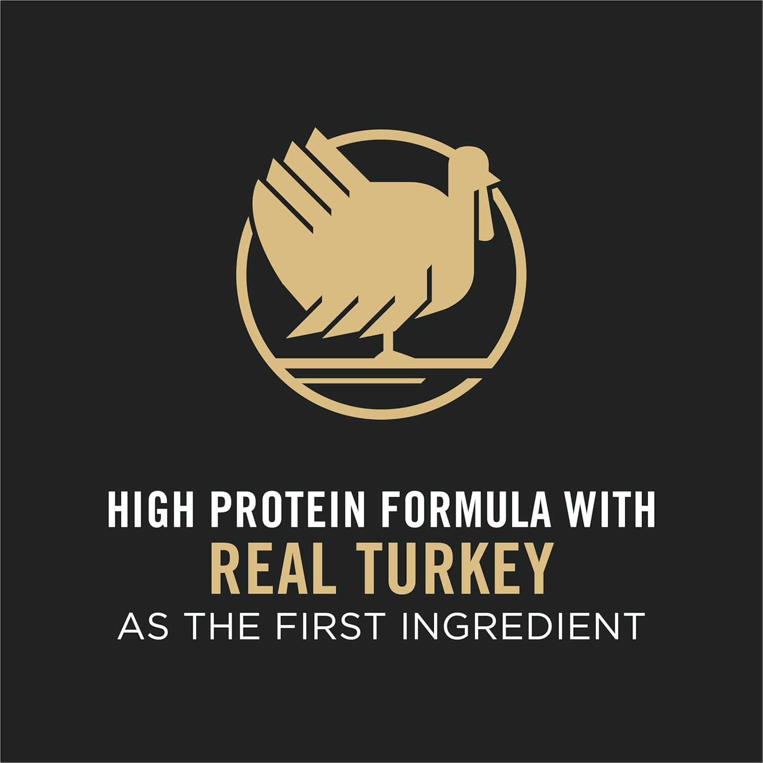 Pro Plan Adult Complete Essentials Turkey Rice Probiotic Dry - close up view