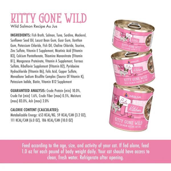 Wet Cat Food Premium Salmon Recipe Daily Daily Meals Premium - close up view