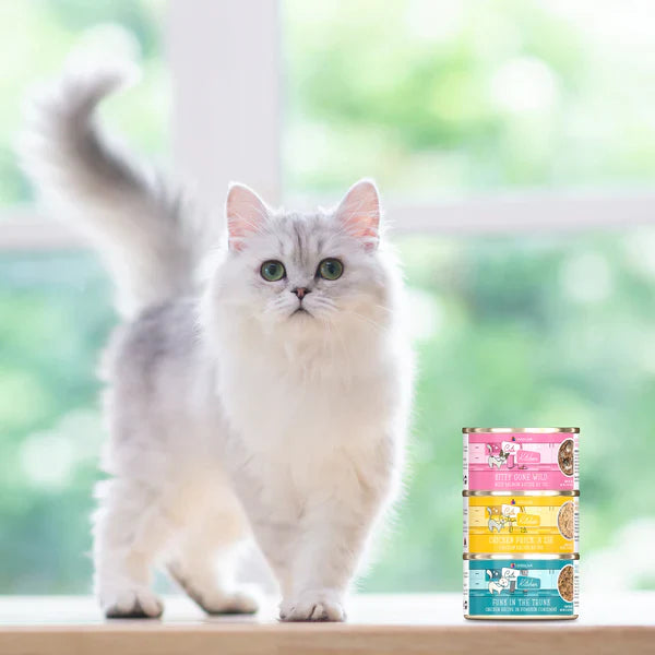 Wet Cat Food Premium Tuna Recipe 6oz Daily Meals Premium Pet - gallery image 7