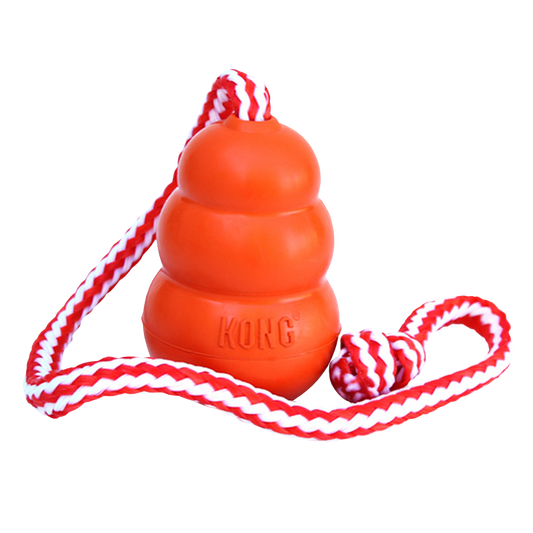 KONG Aqua Fetch Dog Toy Durable Play - main product image