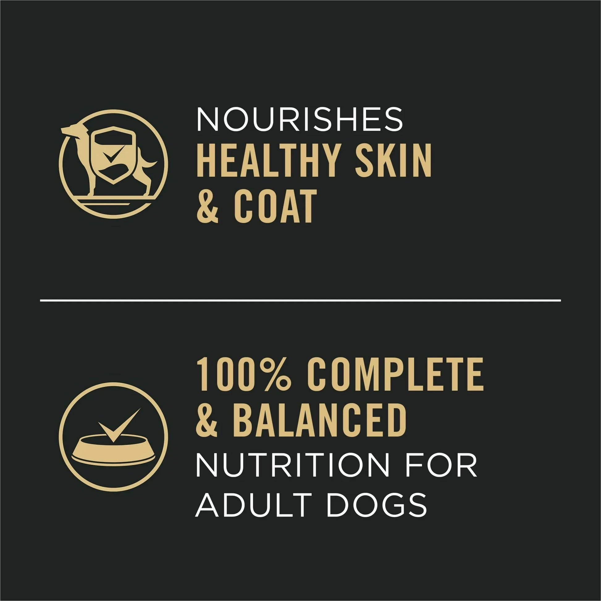 Pro Plan Complete Essentials Adult Chicken Rice Entree Wet - lifestyle view