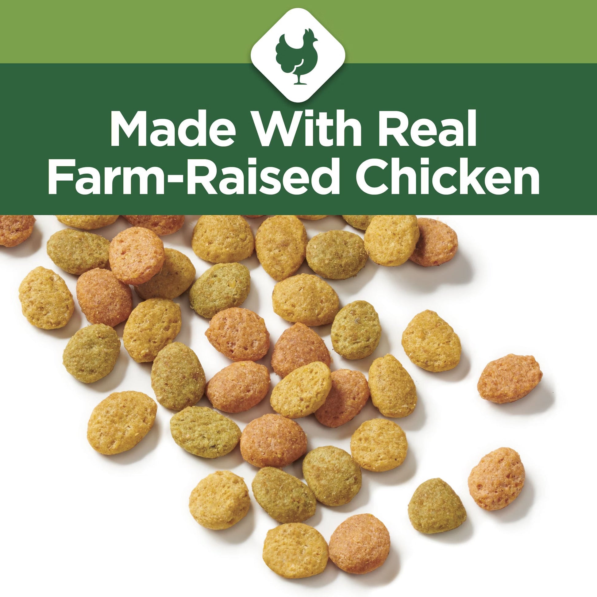Cat Chow Naturals Indoor Chicken Cat Food Dry Cat Food - lifestyle view