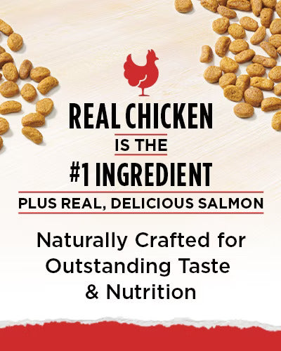 Cat Chow Naturals Chicken Original Cat Food Dry Cat Food - lifestyle view