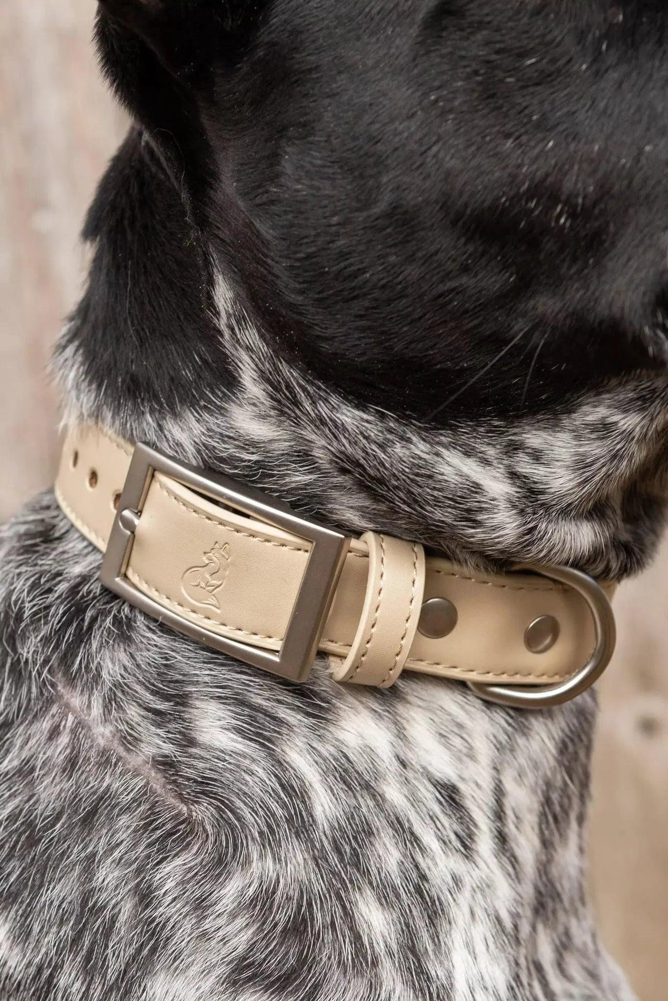 Champagne Fizz Vegan Leather Dog Collar Adjustable Dog Gear - detail view