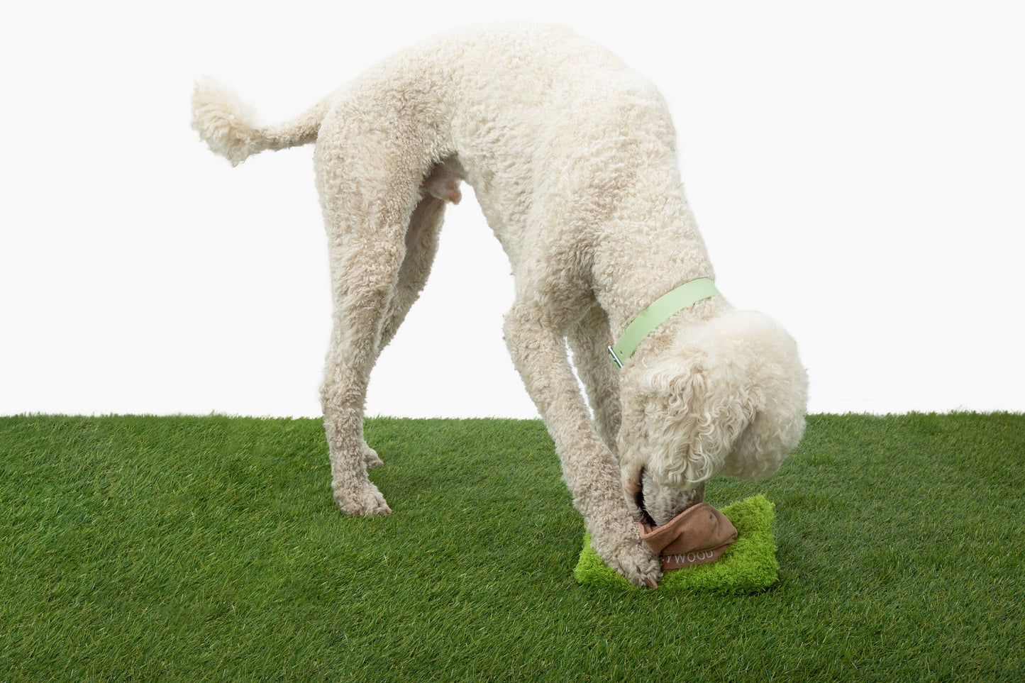 Hollywoof Nose Work Dog Toy - lifestyle view