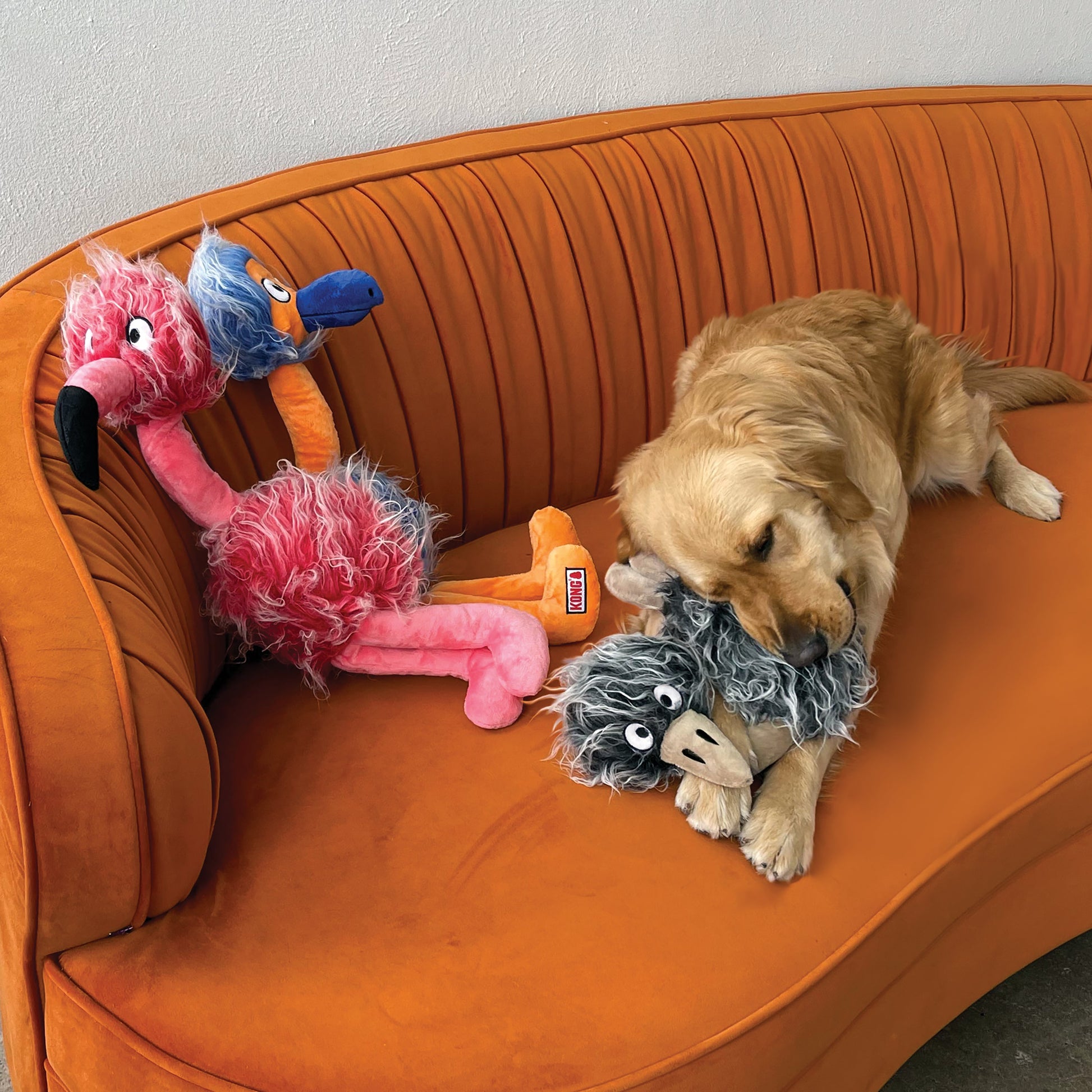 KONG Comfort Jumbo Birds XL Plush Dog Toy Durable Play - main product image