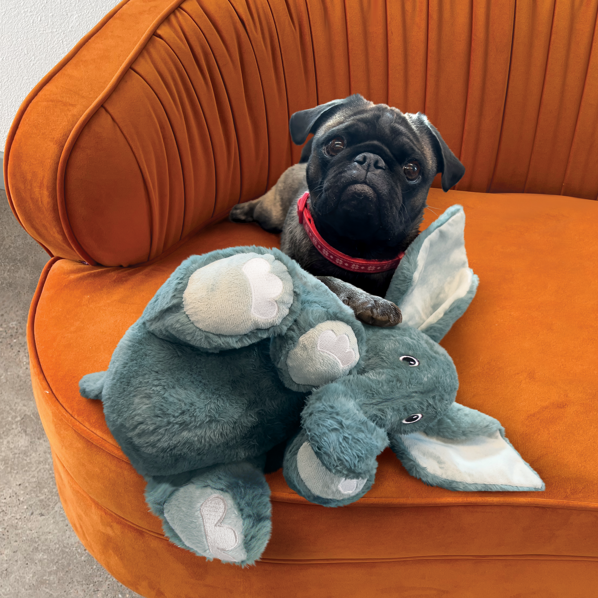 KONG Comfort Kiddos Jumbo Elephant Plush Dog Toy Durable - detail view
