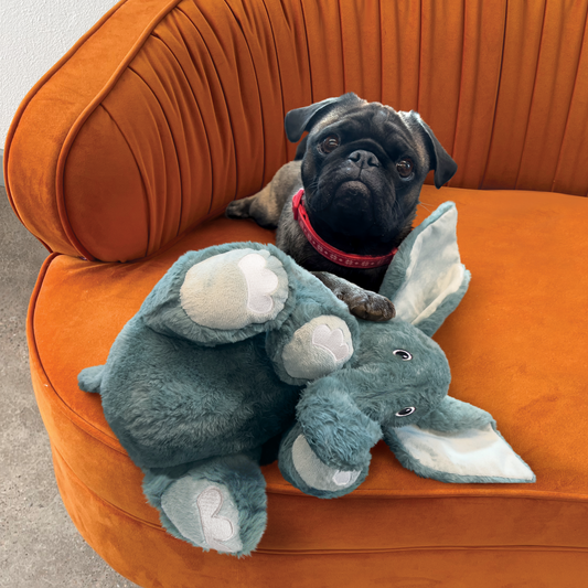 KONG Comfort Kiddos Jumbo Elephant Plush Dog Toy Durable - detail view