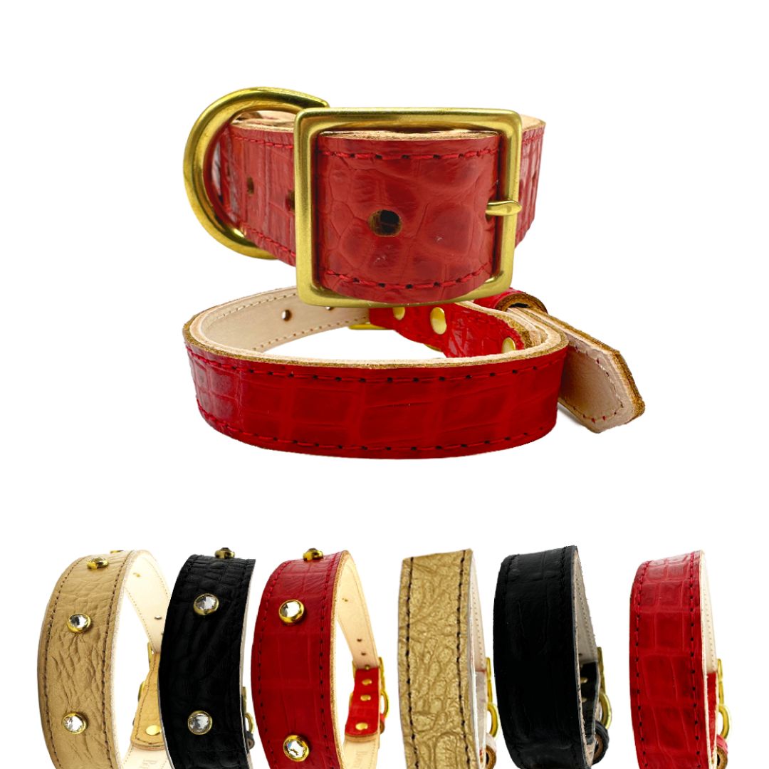 Dog Collar Croc Leather Collar for Daily Use for Comfort - lifestyle product image for dog collar