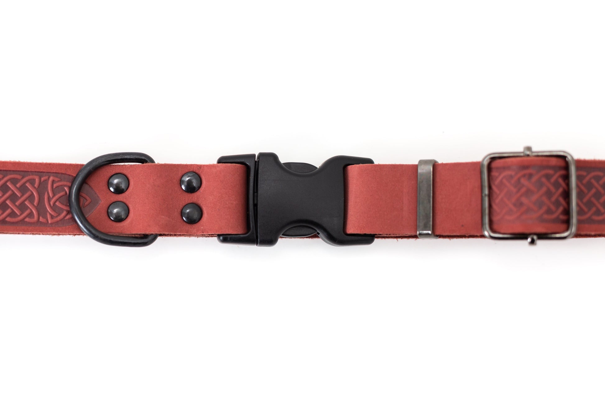 Dog Collar Celtic Sport Coral Reef Leather Collar Essential - lifestyle product image for dog collar