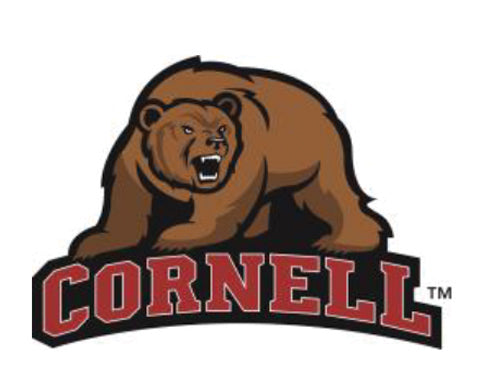Dog Toy NCAA Cornell University Big Red Bear Knottie Plush main product image for dogs and cats