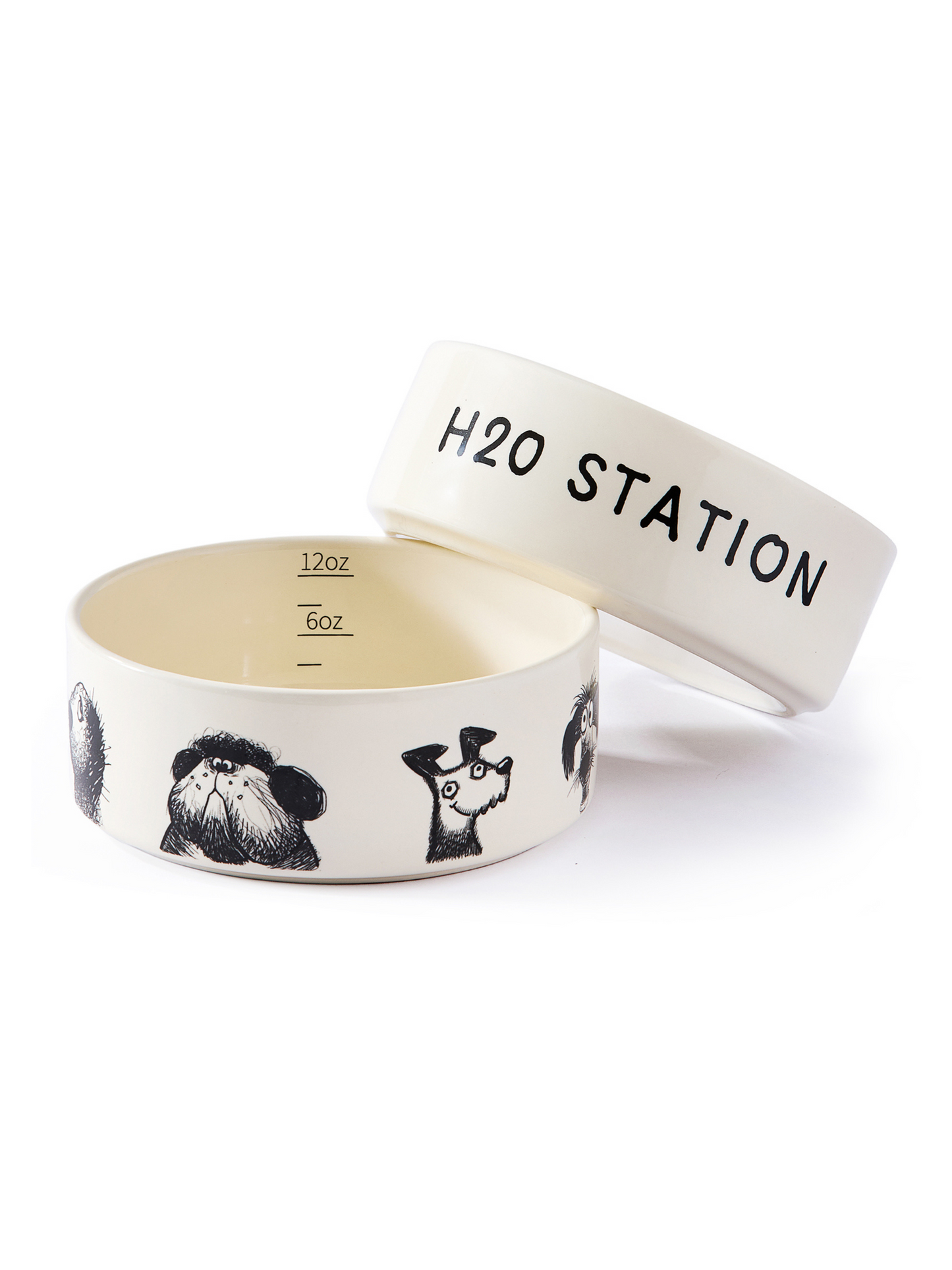 Derpy Bowl Pet Feeding Hydration Supply Premium - main product image