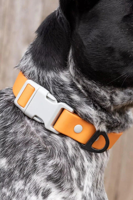 Crimson Glow Waterproof Dog Collar Adjustable Dog Walking - detail view