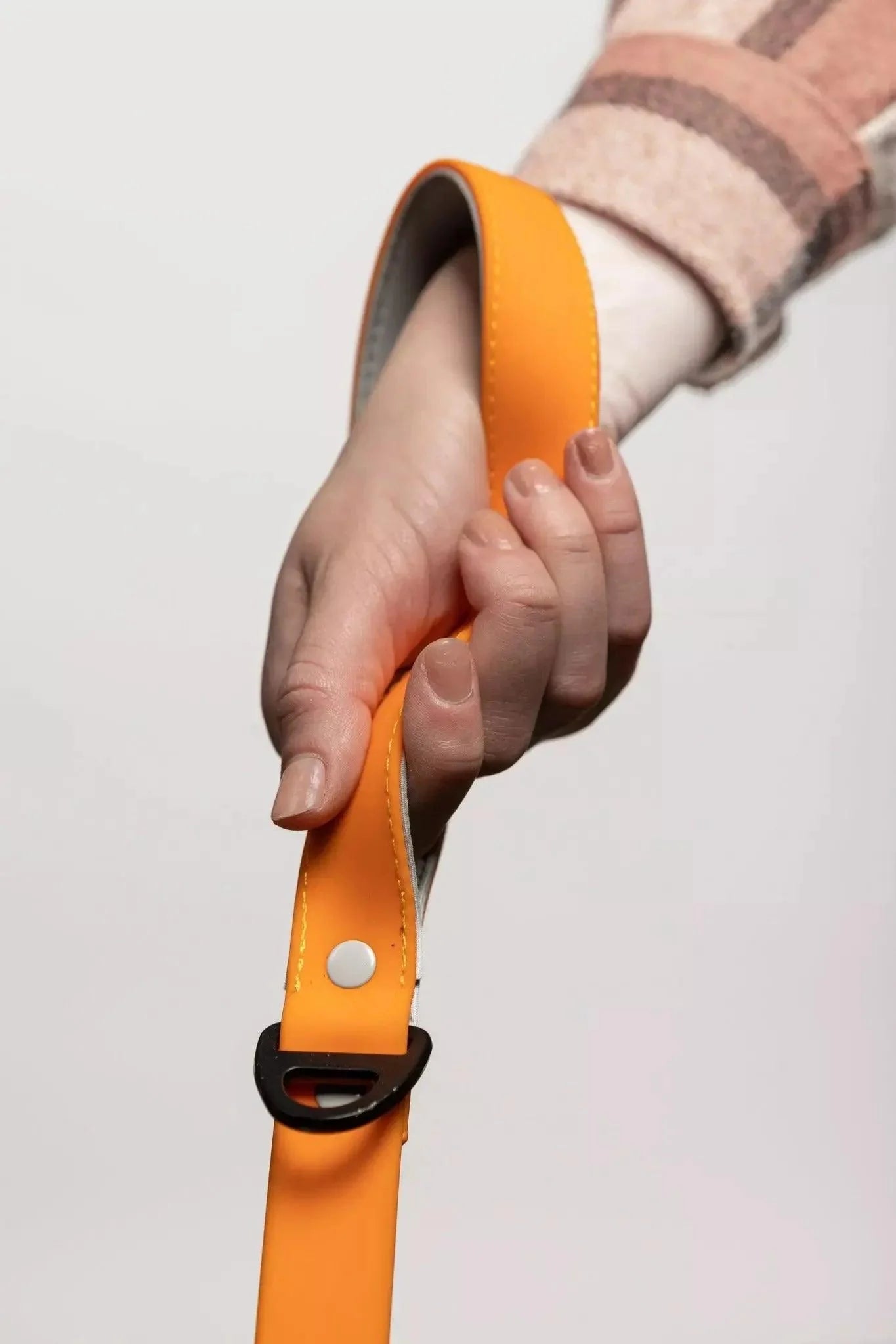 Crimson Glow Waterproof Dog Leash Adjustable Dog Walking - lifestyle view