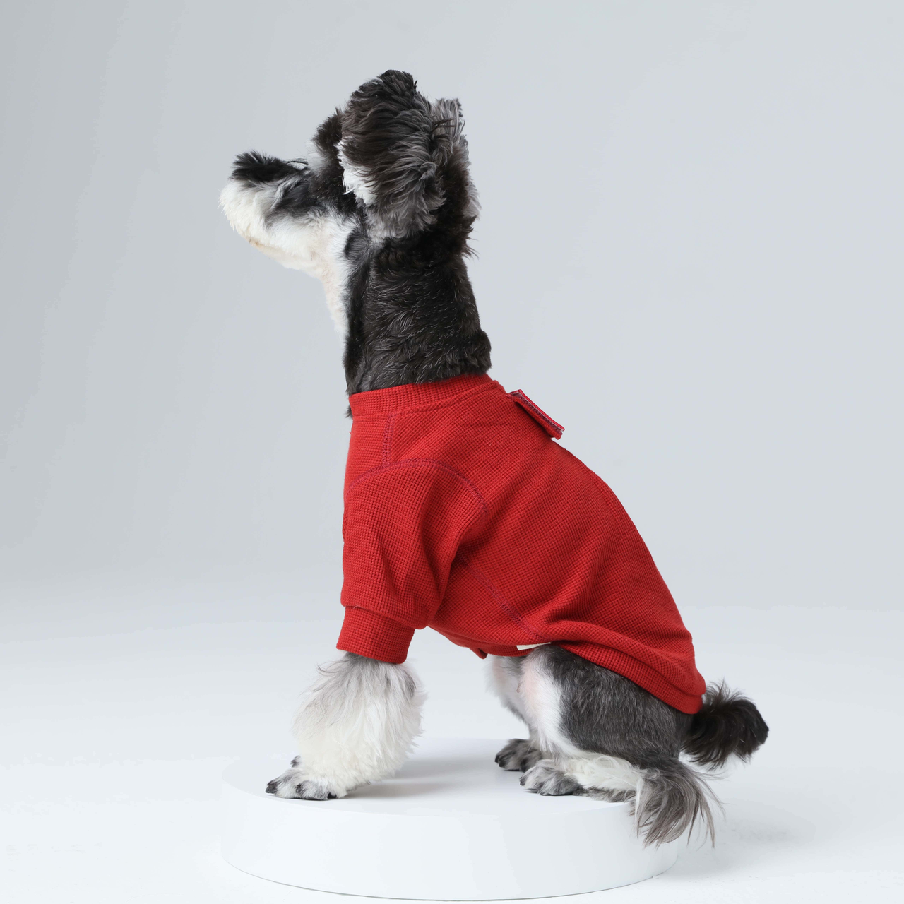 Embroidery Waffle T Shirt Red Dog Apparel Premium Pet Supply - lifestyle view