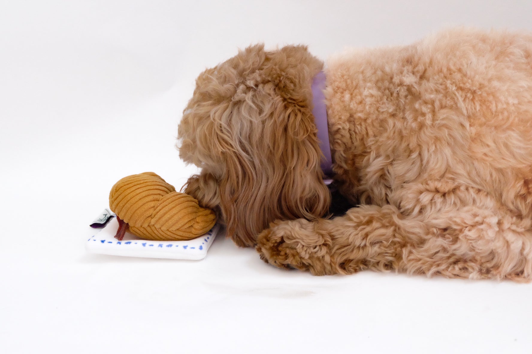 Croissant Nose Work Toy / Enrichment Toy - lifestyle view