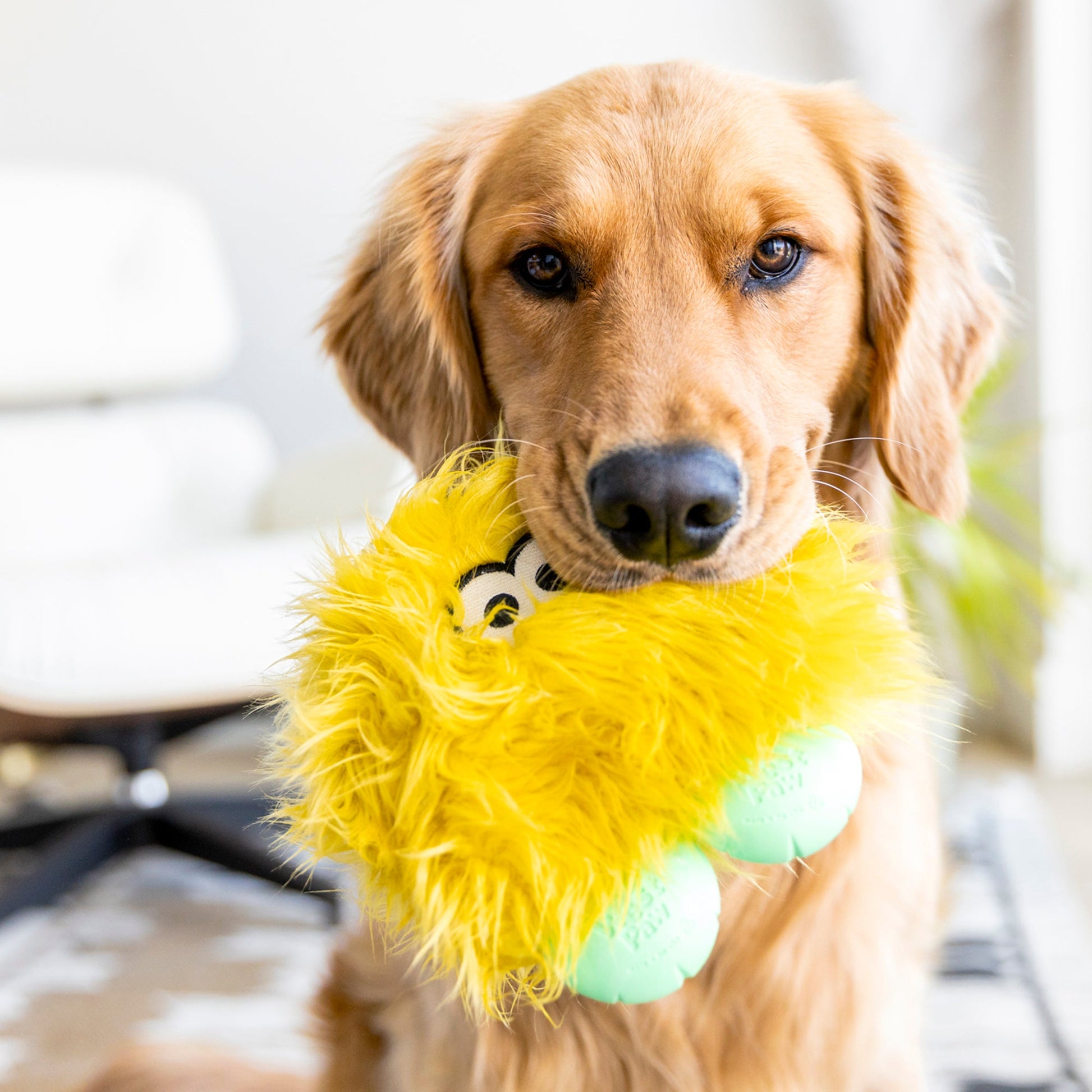 Rolf Interactive Dog Toy Durable Play Premium - gallery image 6