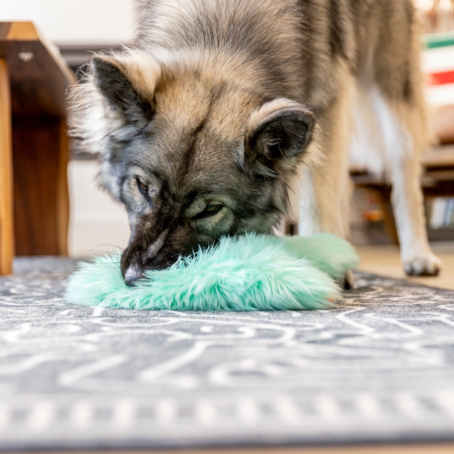 Bjorn Interactive Dog Toy Durable Play Premium - gallery image 6