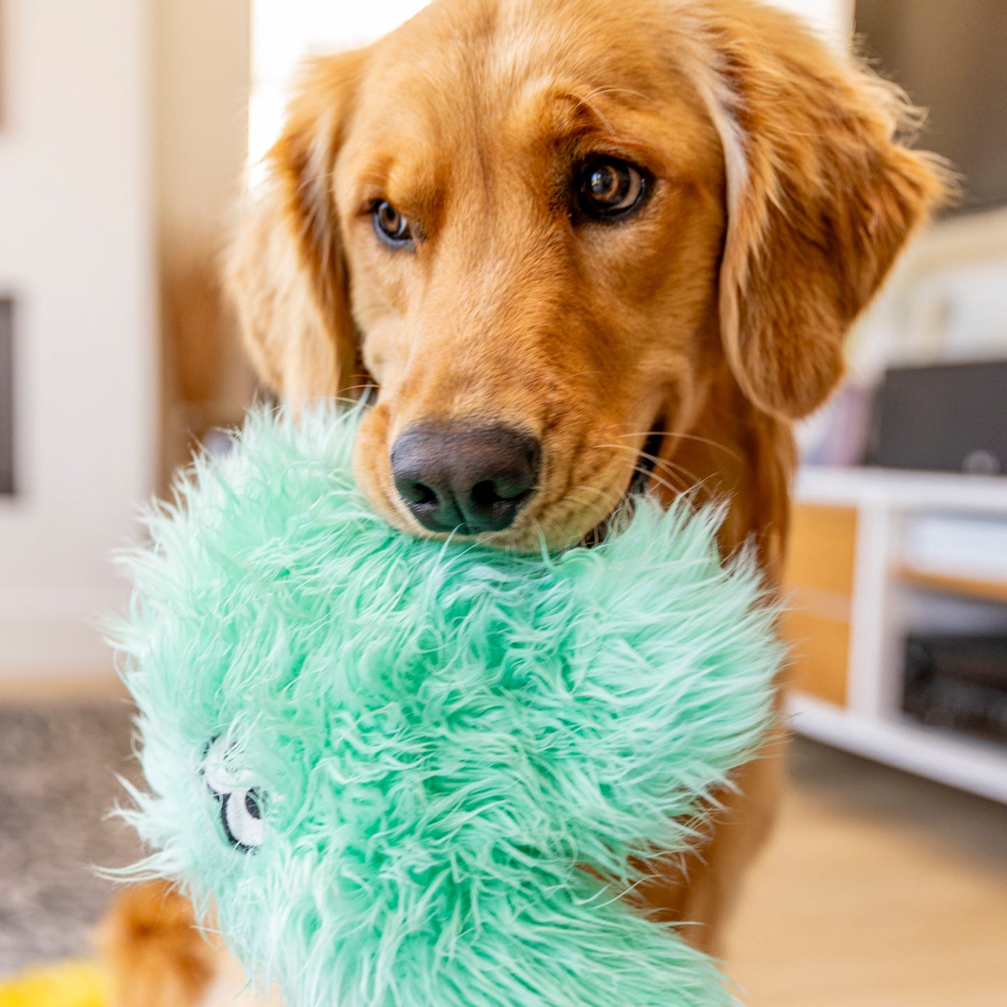 Helga Interactive Dog Toy Durable Play Premium - gallery image 6