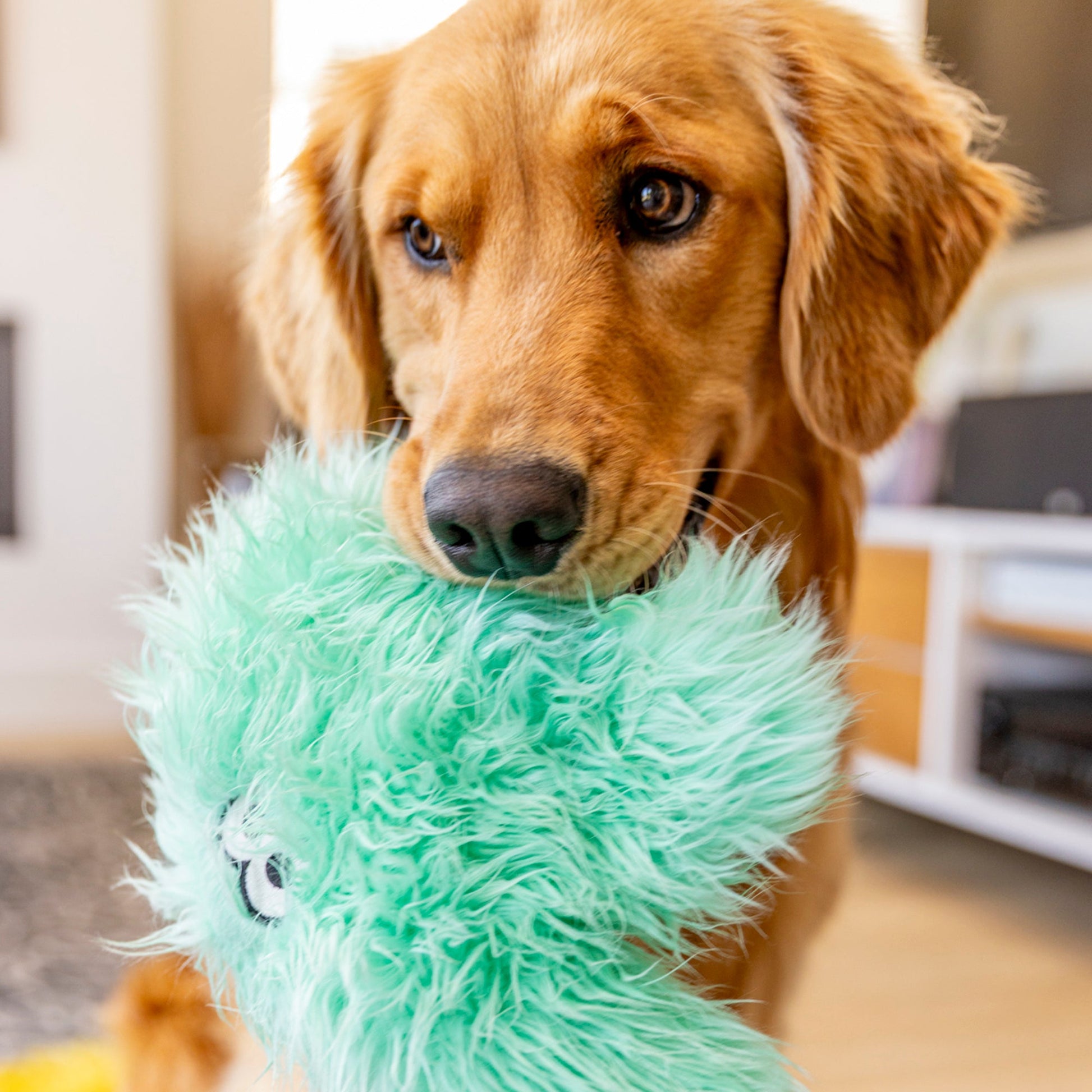 Helga Interactive Dog Toy Durable Play Premium - gallery image 6