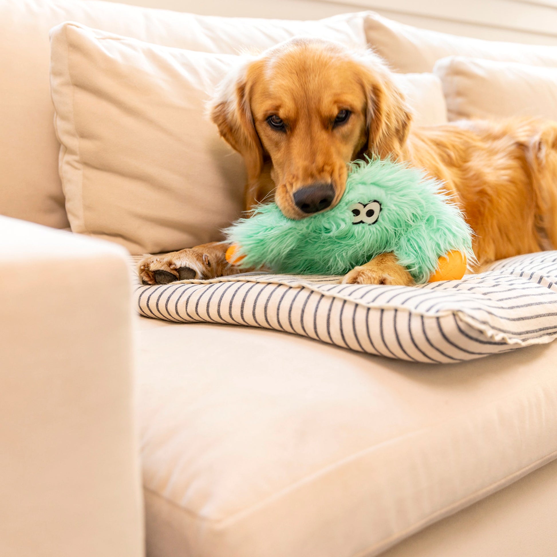 Helga Interactive Dog Toy Durable Play Premium - gallery image 7