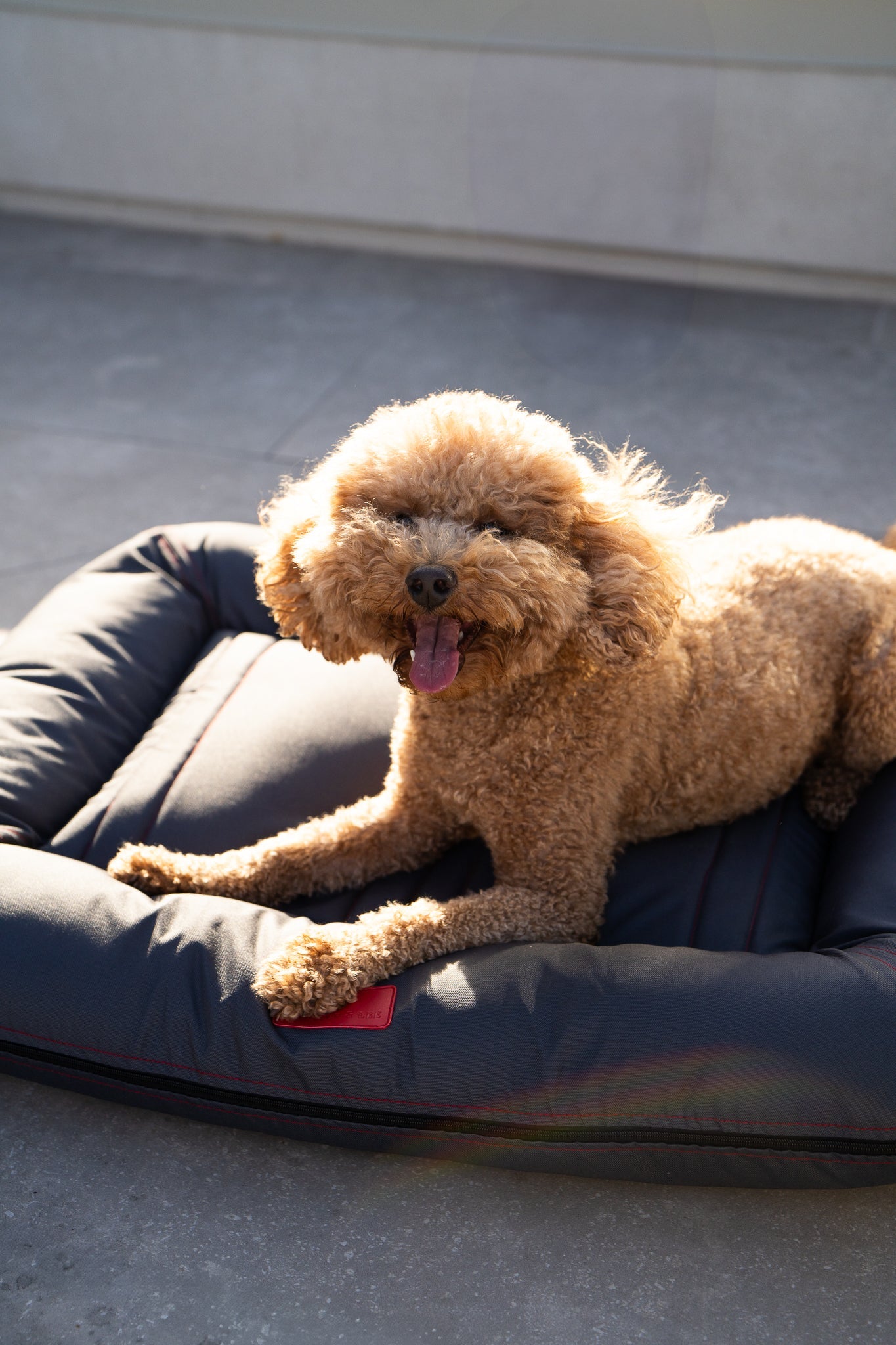 Luxury Dog Bed Waterproof Lounger Gray for Comfort, Support - luxury dog bed view 5 for comfort and support